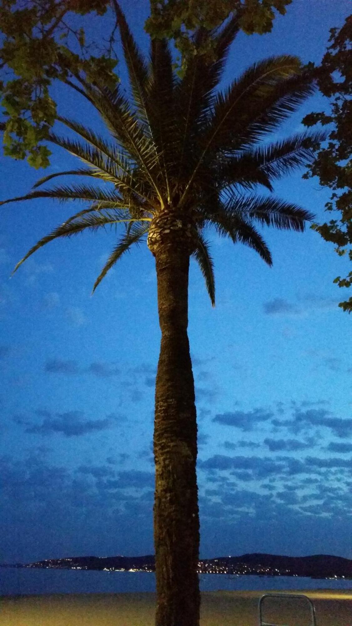 Sublime Vue Mer,Parking,Wifi Fréjus Extérieur photo
